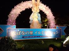 昨日は・・・ 昨日は・・・
