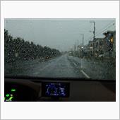 今朝は強い雨でした