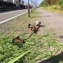 明日は市民一斉清掃です
