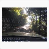 林道楽しい