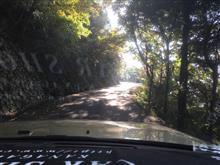 林道楽しい