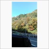 好天と紅葉