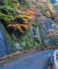 今朝のサイクリング --- 途中で紅葉狩り。 今朝のサイクリング --- 途中で紅葉狩り。