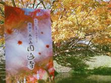 紅葉ツーリング参加出来ず！