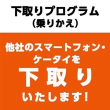 乗りカエル 乗りカエル