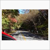紅葉が見たくて．．．日塩もみ ...