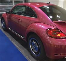 The Beetle