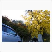 家族サービスだけど写真も撮ら ...