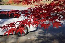 秋の紅葉ドライブ　山梨編