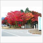 これから紅葉も良い時期です。