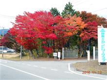 これから紅葉も良い時期です。