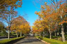 地元の紅葉