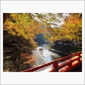 京都散策、紅葉狩り！