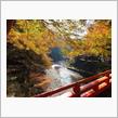 京都散策、紅葉狩り！