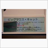 蒲郡方面
