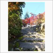 京都散策 ～西明寺、高山寺～