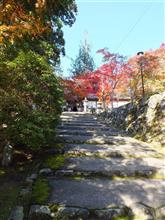京都散策 ～西明寺、高山寺～