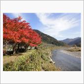 かやぶきの里、そして京都紅葉 ...