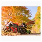 紅葉ツーリング - 岩屋ダム ...