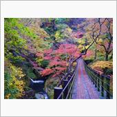 茨城県の紅葉～花貫渓谷
