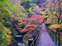 茨城県の紅葉～花貫渓谷