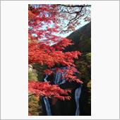 茨城県の紅葉～袋田の滝