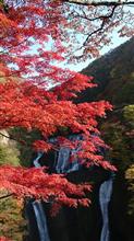 茨城県の紅葉～袋田の滝