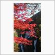 茨城県の紅葉～袋田の滝