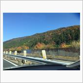 紅葉を探しに