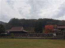 雨の日こそ紅葉を・・・？？？