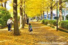紅や黄色の祭典♪