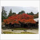 雷山千如寺大悲王院❗️福岡県 ...