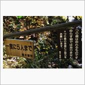 長野県の伊那と木曽へ③　柿其 ...