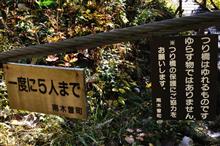 長野県の伊那と木曽へ③ 柿其渓谷~阿寺渓谷 (2016 .11) 長野県の伊那と木曽へ③ 柿其渓谷~阿寺渓谷 (2016 .11)