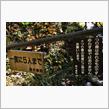 長野県の伊那と木曽へ③　柿其渓谷～阿寺渓谷　(2016 .11)
