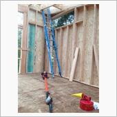 pole pruner