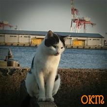 兄は現在辛いのです｡｡｡(^_^;)