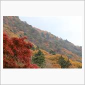 紅葉を求めて～日塩もみじライ ...