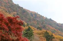 紅葉を求めて～日塩もみじライン～