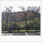 紅葉が進みました。