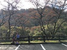 紅葉が進みました。
