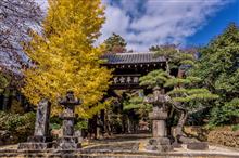 乾徳山「恵林寺」vol.2