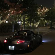 東雲→台場ぷちドライブ