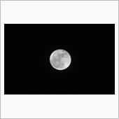 十六夜・・・