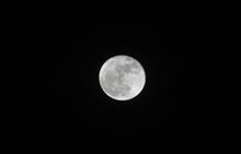 十六夜・・・