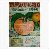 寄居の山でビタミンC