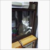 みんカラ歴１年