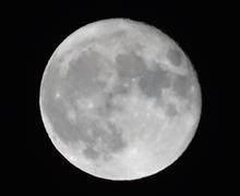 いちょう並木と十六夜