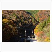 秋の高山本線