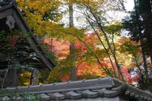 篠山市洞光寺